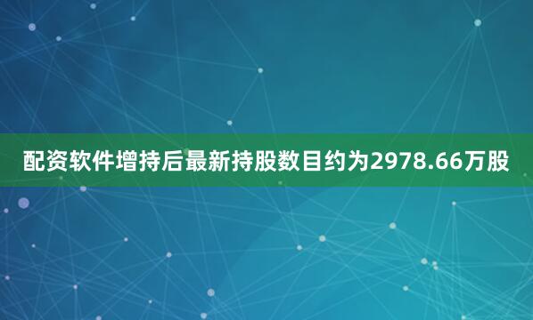 配资软件增持后最新持股数目约为2978.66万股