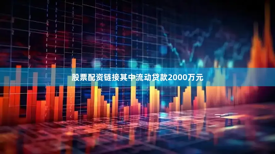 股票配资链接其中流动贷款2000万元