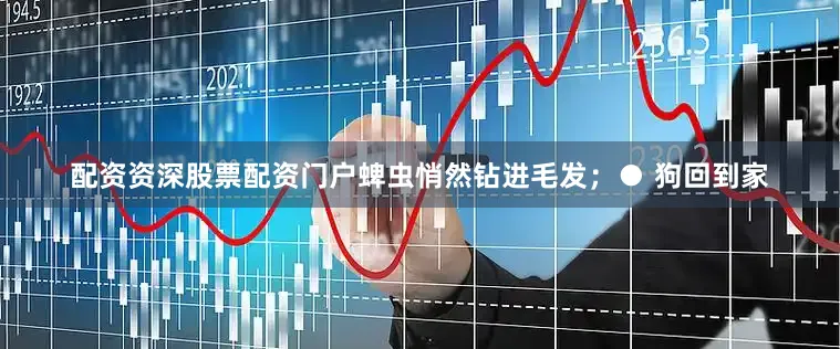 配资资深股票配资门户蜱虫悄然钻进毛发；● 狗回到家
