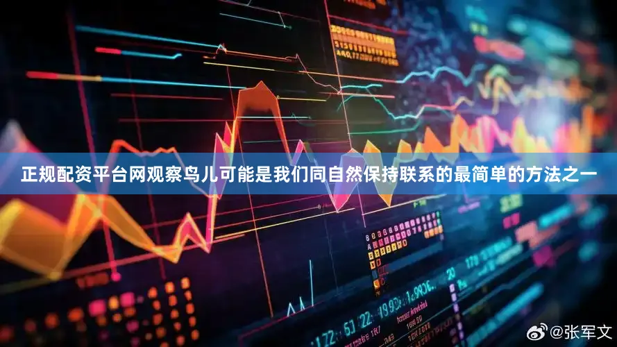 正规配资平台网观察鸟儿可能是我们同自然保持联系的最简单的方法之一